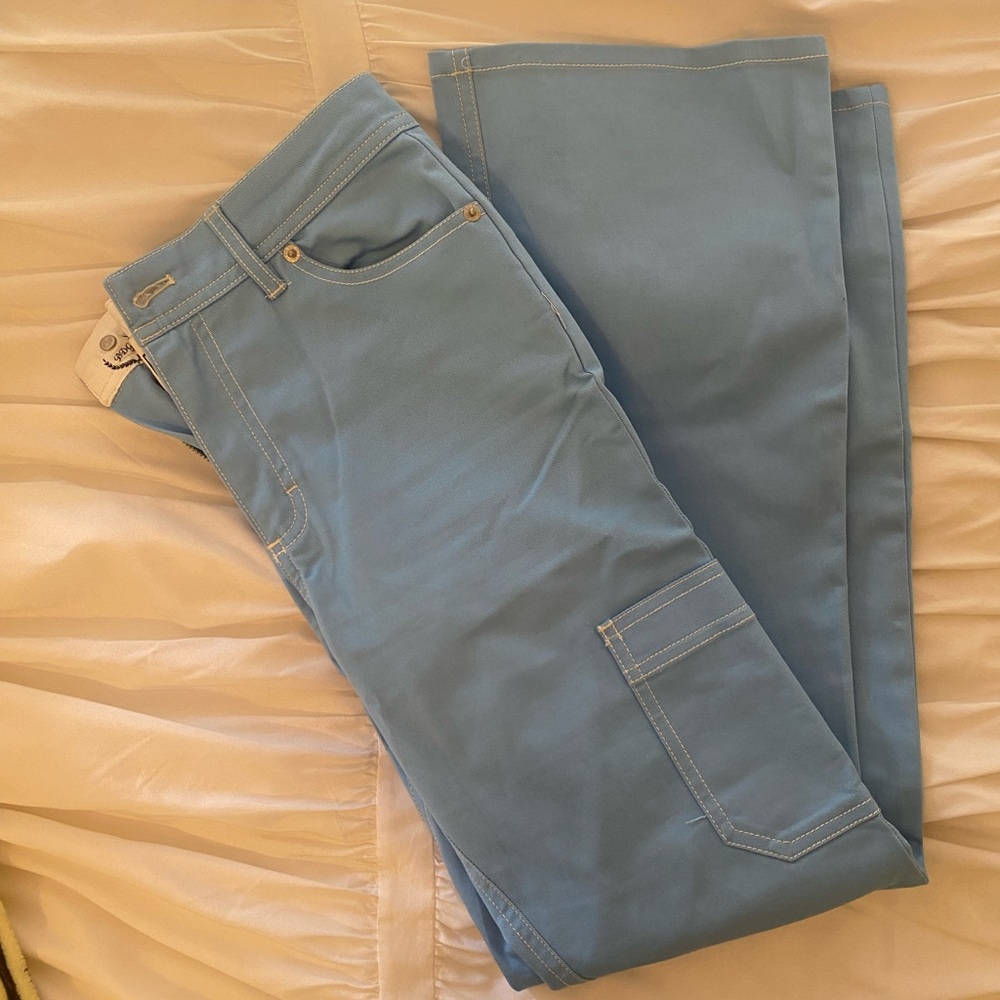 Urban outfitters BDG blue cargo pants